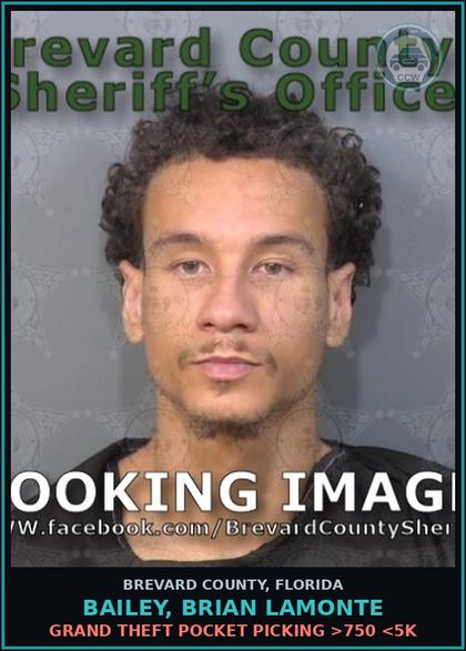 CCW arrest card for BAILEY, BRIAN LAMONTE in Brevard County: Grand Theft Pocket Picking >750 <5K