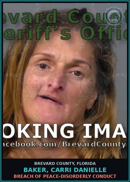 CCW arrest card for Baker, Carri Danielle in Brevard County: VOP