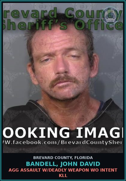 CCW arrest card for BANDELL, JOHN DAVID in Brevard County: Poss Firearm/Weapon/Ammo by Convicted Felon