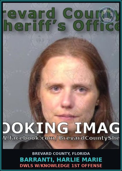 CCW arrest card for Barranti, Harlie Marie in Brevard County: DWLS W/Knowledge 1st Offense
