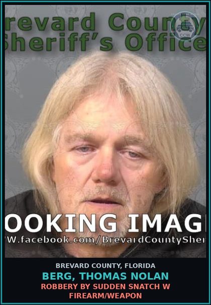 CCW arrest card for BERG, THOMAS NOLAN in Brevard County: Battery - Touch Strike / DV / Dating Viol