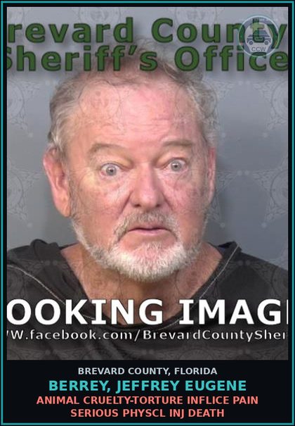 CCW arrest card for BERREY, JEFFREY EUGENE in Brevard County: Animal Cruelty-Torture Inflice Pain Serious Physcl Inj Death