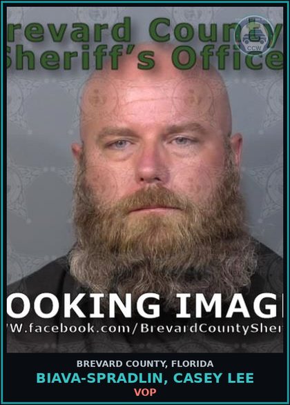 CCW arrest card for Biava-Spradlin, Casey Lee in Brevard County: VOP