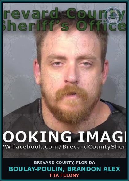 CCW arrest card for Boulay-Poulin, Brandon Alex in Brevard County: Petit Theft Burg/B&E >$100 <$750 1st5 Deg