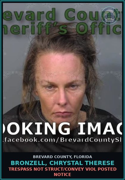 CCW arrest card for BRONZELL, CHRYSTAL THERESE in Brevard County: Trespass Not Struct/Convey Viol Posted Notice