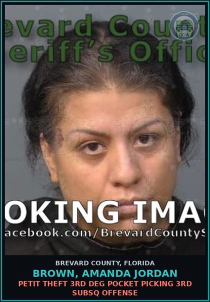 CCW arrest card for BROWN, AMANDA JORDAN in Brevard County: Petit Theft 3rd Deg Pocket Picking 3rd Subsq Offense
