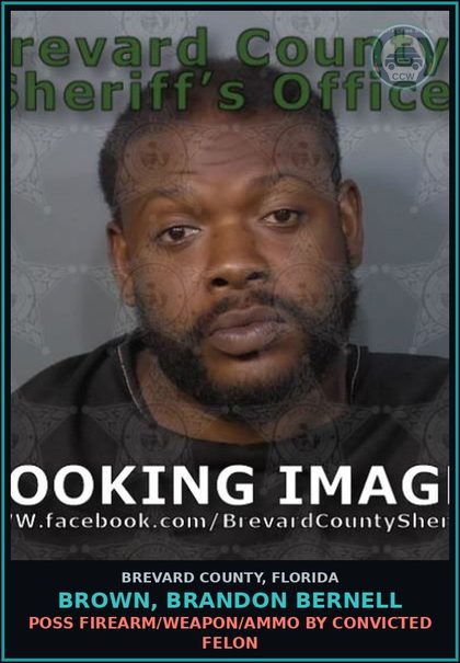 CCW arrest card for BROWN, BRANDON BERNELL in Brevard County: Canna - Possession >20 Gr