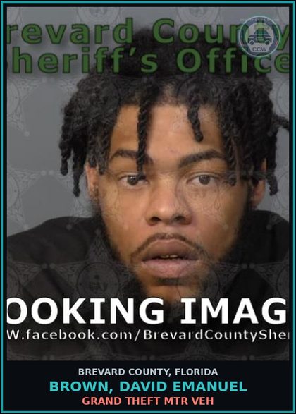 CCW arrest card for BROWN, DAVID EMANUEL in Brevard County: Grand Theft Mtr Veh