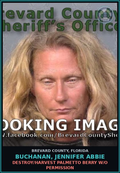 CCW arrest card for Buchanan, Jennifer Abbie in Brevard County: Destroy/Harvest Palmetto Berry W/O Permission