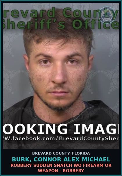 CCW arrest card for BURK, CONNOR ALEX MICHAEL in Brevard County: Grand Theft Mtr Veh