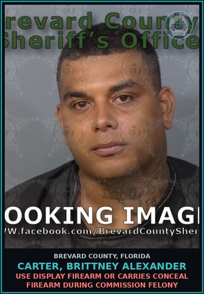 CCW arrest card for CARTER, BRITTNEY ALEXANDER in Brevard County: Poss/Use Drug Paraphernalia
