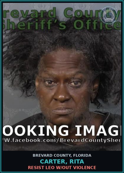 CCW arrest card for CARTER, RITA in Brevard County: Poss/Use Drug Paraphernalia