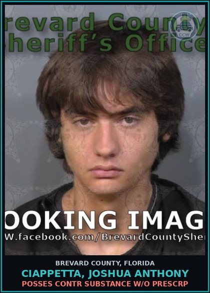 CCW arrest card for CIAPPETTA, JOSHUA ANTHONY in Brevard County: Posses contr substance w/o Prescription