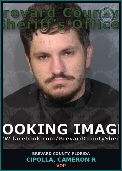 CCW arrest card for CIPOLLA, CAMERON R in Brevard County: VOP