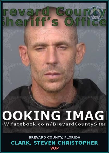CCW arrest card for CLARK, STEVEN CHRISTOPHER in Brevard County: VOP