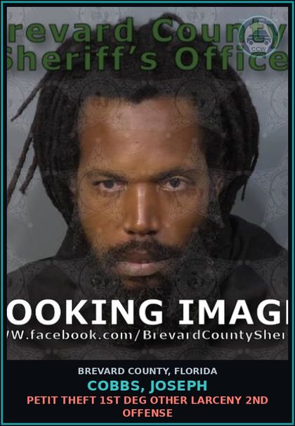 CCW arrest card for COBBS, JOSEPH in Brevard County: Petit Theft 1st Deg Other Larceny 2nd Offense