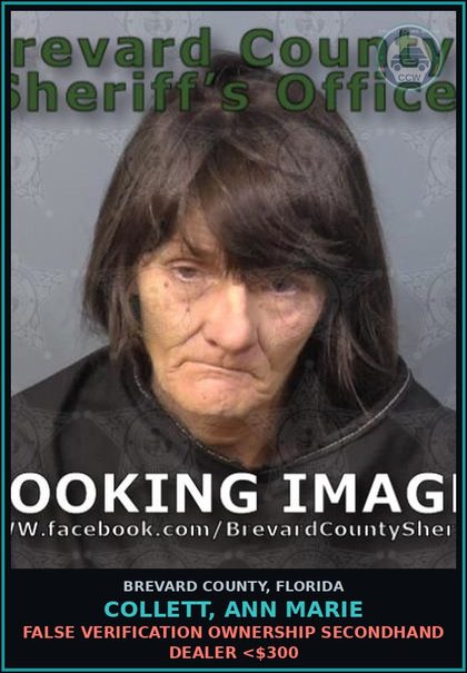 CCW arrest card for COLLETT, ANN MARIE in Brevard County: False Verification Ownership Secondhand Dealer <$300