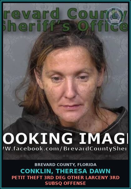 CCW arrest card for Conklin, Theresa Dawn in Brevard County: Dealing in Stolen Property