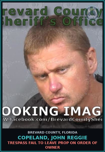 CCW arrest card for Copeland, John REGGIE in Brevard County: Poss/Use Drug Paraphernalia