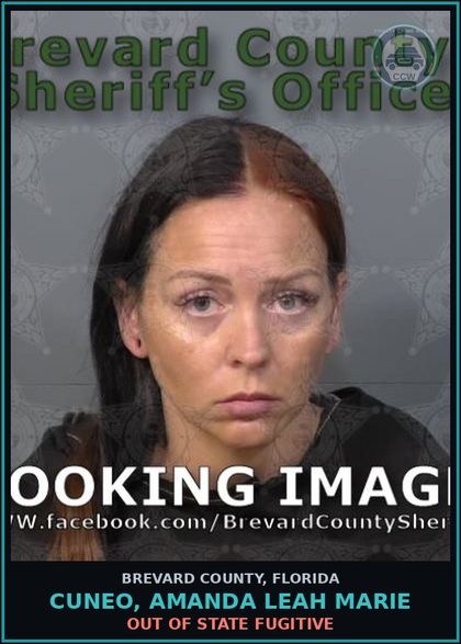 CCW arrest card for Cuneo, Amanda Leah Marie in Brevard County: Out of State Fugitive