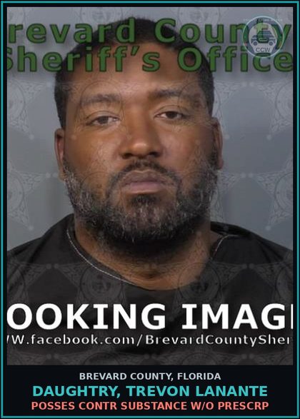 CCW arrest card for DAUGHTRY, TREVON LANANTE in Brevard County: Posses contr substance w/o Prescription