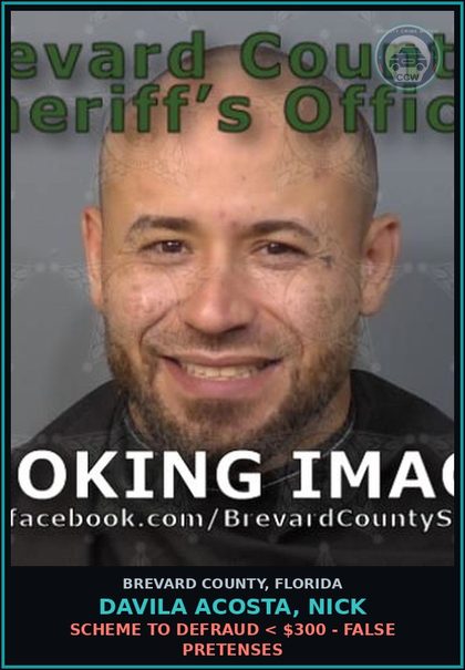 CCW arrest card for DAVILA ACOSTA, NICK in Brevard County: Petit Theft 2nd Deg Other Larcency 1st Offense