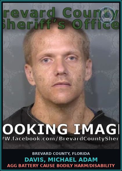 CCW arrest card for DAVIS, MICHAEL ADAM in Brevard County: Agg Battery Cause Bodily Harm/Disability