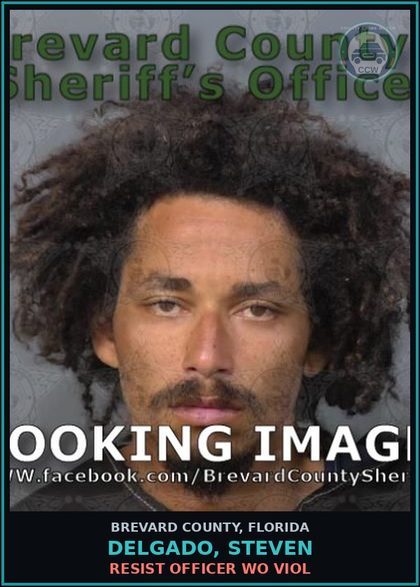 CCW arrest card for DELGADO, STEVEN in Brevard County: DWLS W/Knowledge 1st Offense