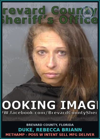 CCW arrest card for DUKE, REBECCA BRIANN in Brevard County: VOP
