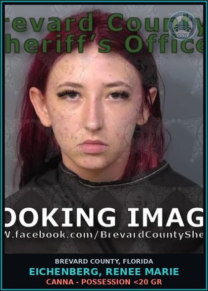 CCW arrest card for EICHENBERG, RENEE MARIE in Brevard County: Poss/Use Drug Paraphernalia