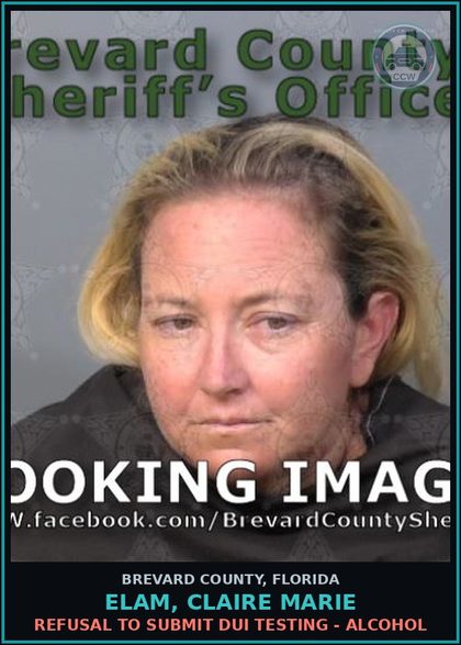 CCW arrest card for Elam, Claire Marie in Brevard County: Resist Officer WO Viol