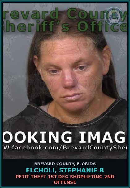 CCW arrest card for ELCHOLI, STEPHANIE B in Brevard County: Petit Theft 1st Deg Shoplifting 2nd Offense