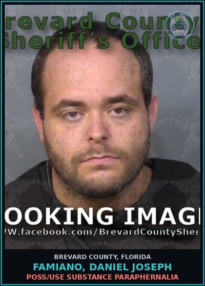 CCW arrest card for FAMIANO, DANIEL JOSEPH in Brevard County: Poss/Use Drug Paraphernalia