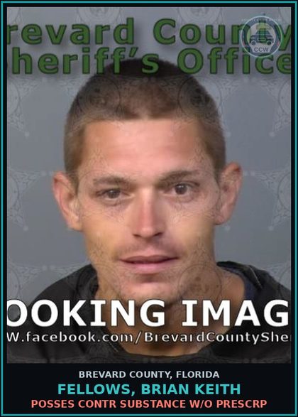 CCW arrest card for FELLOWS, BRIAN Keith in Brevard County: Posses contr substance w/o Prescription