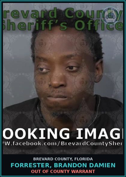 CCW arrest card for FORRESTER, BRANDON DAMIEN in Brevard County: Out of County Warrant