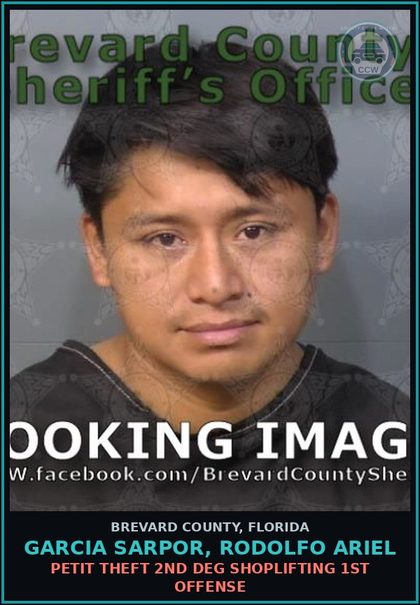 CCW arrest card for GARCIA SARPOR, RODOLFO ARIEL in Brevard County: Petit Theft 2nd Deg Shoplifting 1st Offense