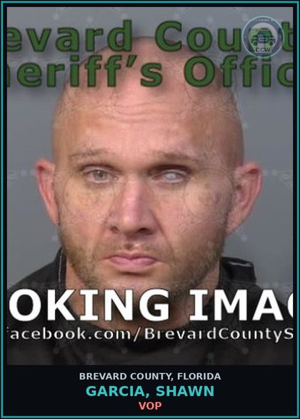CCW arrest card for GARCIA, SHAWN in Brevard County: VOP