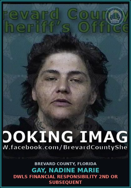 CCW arrest card for GAY, NADINE MARIE in Brevard County: DWLS Financial Responsibility 2nd or Subsequent
