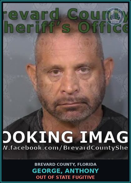 CCW arrest card for GEORGE, ANTHONY in Brevard County: Out of State Fugitive
