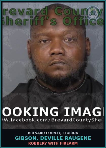 CCW arrest card for Gibson, Deville Raugene in Brevard County: Grand Theft Shoplifting >10K <20K