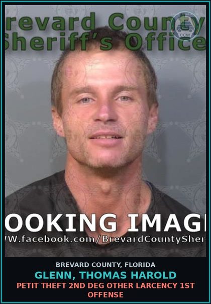CCW arrest card for GLENN, THOMAS HAROLD in Brevard County: Petit Theft 2nd Deg Other Larcency 1st Offense