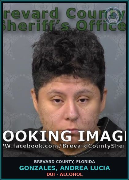 CCW arrest card for Gonzales, Andrea Lucia in Brevard County: DUI - Alcohol