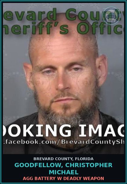 CCW arrest card for GOODFELLOW, CHRISTOPHER MICHAEL in Brevard County: Simple Assault Intent Threat to Do Violence