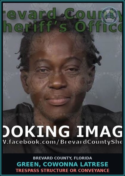 CCW arrest card for Green, Cowonna Latrese in Brevard County: Poss/Use Drug Paraphernalia