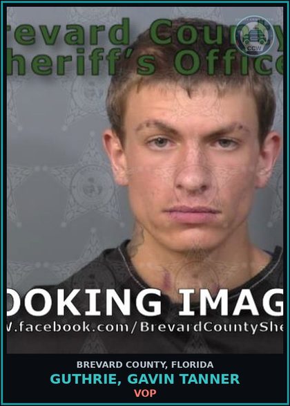 CCW arrest card for Guthrie, Gavin Tanner in Brevard County: VOP