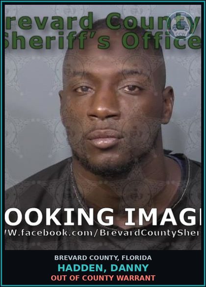 CCW arrest card for HADDEN, DANNY in Brevard County: Out of County Warrant