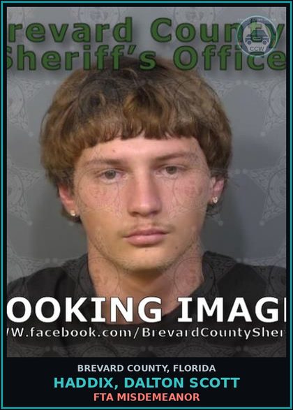 CCW arrest card for HADDIX, DALTON SCOTT in Brevard County: FTA Misdemeanor
