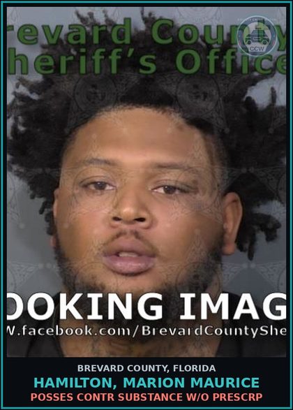 CCW arrest card for HAMILTON, MARION MAURICE in Brevard County: Posses contr substance w/o Prescription