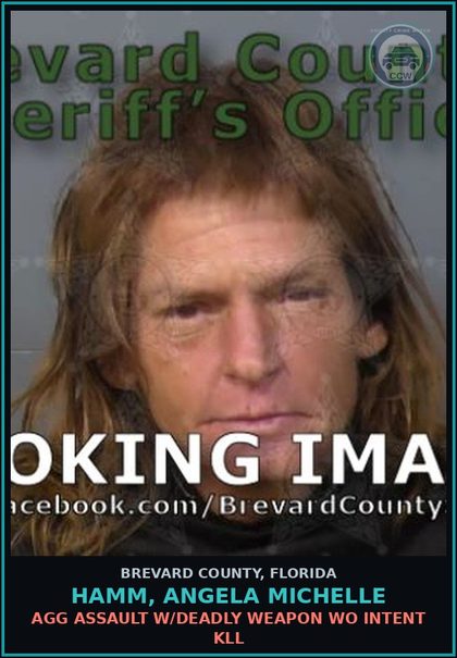CCW arrest card for Hamm, Angela Michelle in Brevard County: Agg Assault W/Deadly Weapon WO Intent Kill