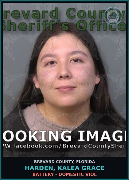 CCW arrest card for HARDEN, KALEA GRACE in Brevard County: Battery - Domestic Viol